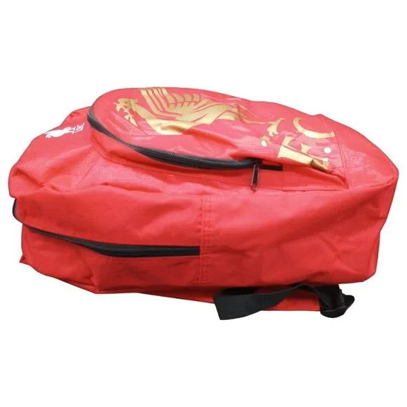 Liverpool FC Bag Backpack Rucksack Official Football School Gym Kids Adults LFC - Picture 2 of 14